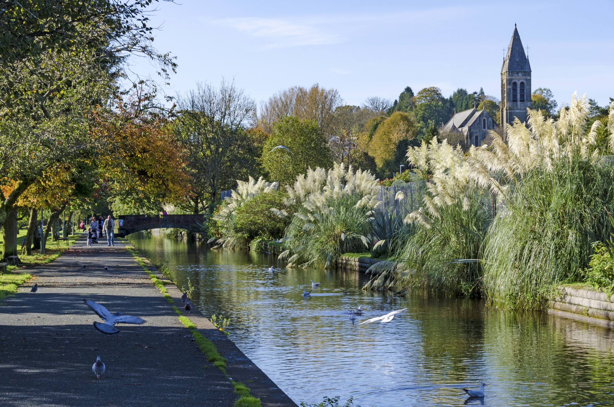 Tavistock Canal 